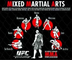 Mixed Martial Arts Styles